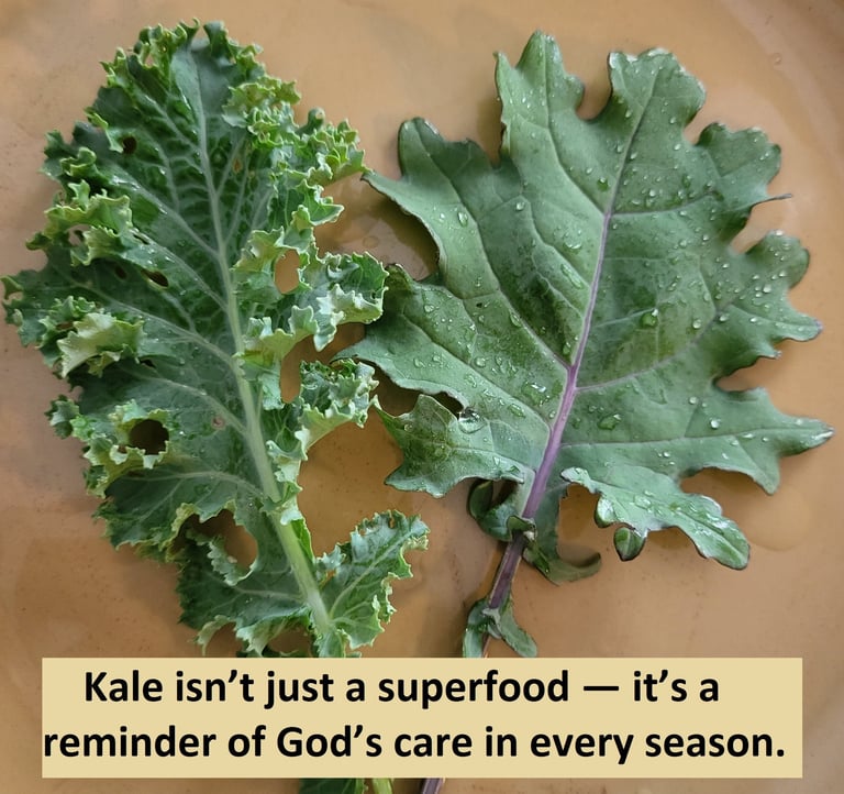 Kale isn't just a superfood - it's a reminder of God's care in every season.