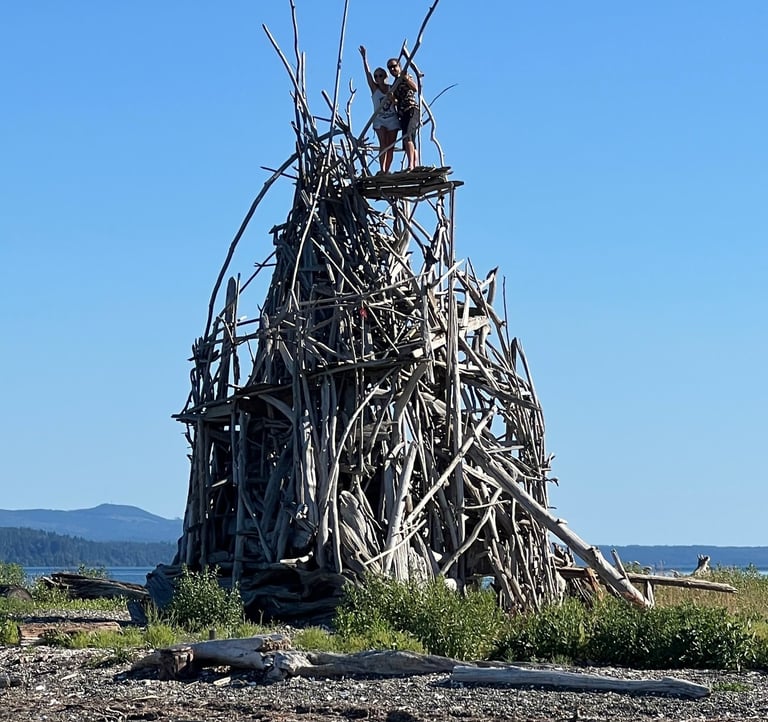 unique driftwood structure