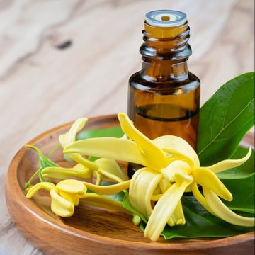 Ylang-ylang oil and flowers