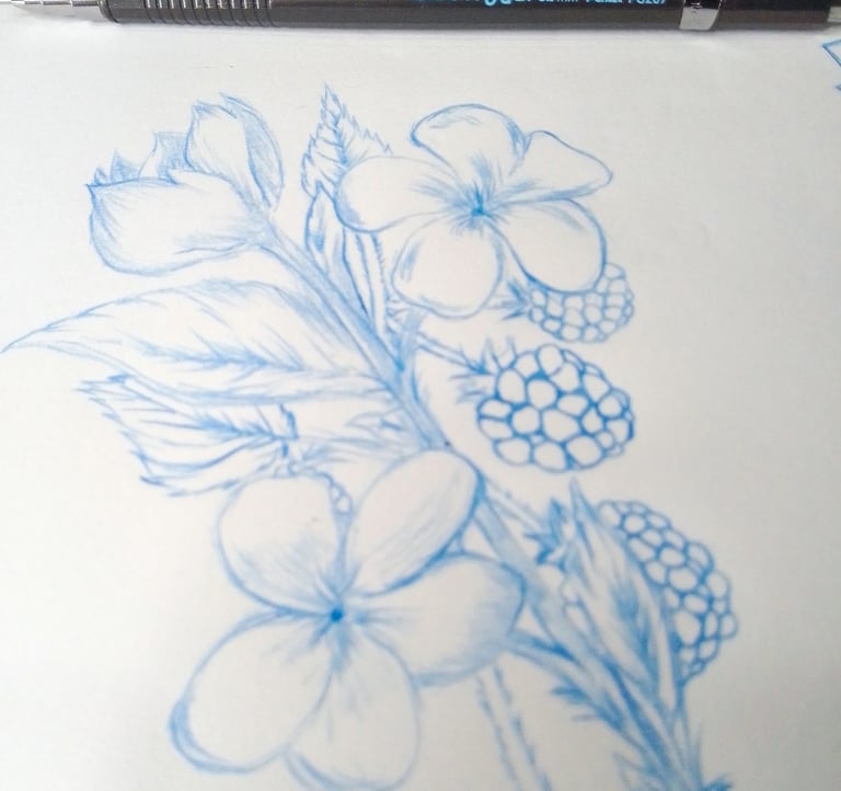 desenho de jasmim branco e amora