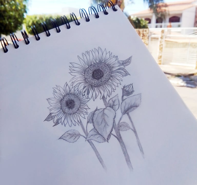 desenho de girassol