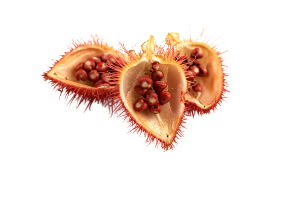 Natural annatto tocotrienol