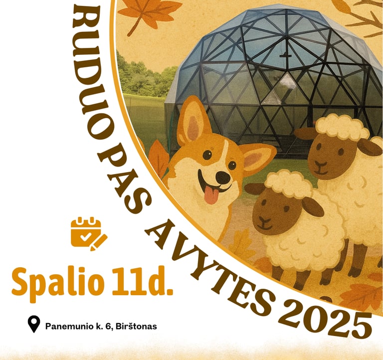 korgių renginys 2025