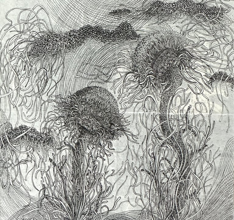 KINGDOM II - Ink by Janet Griffen