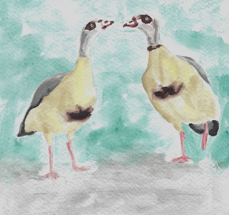 watercolor painting of two geese