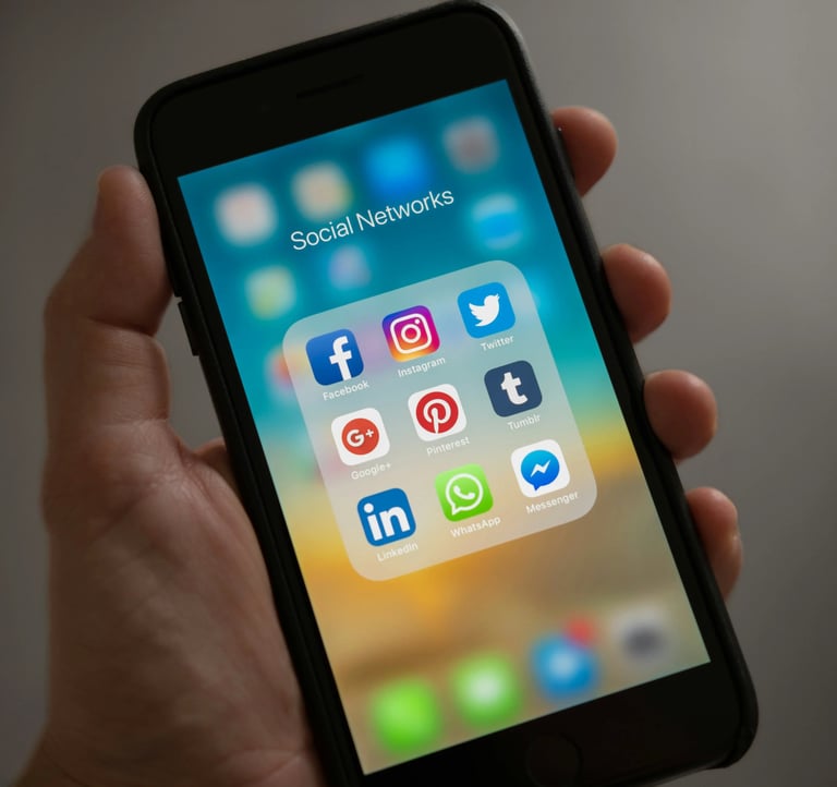Les réseaux sociaux du SII