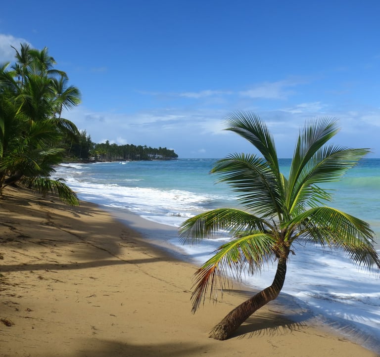 destination sans danger plage sauvage