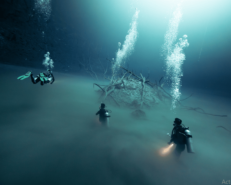 cenote angelita isla con buzos