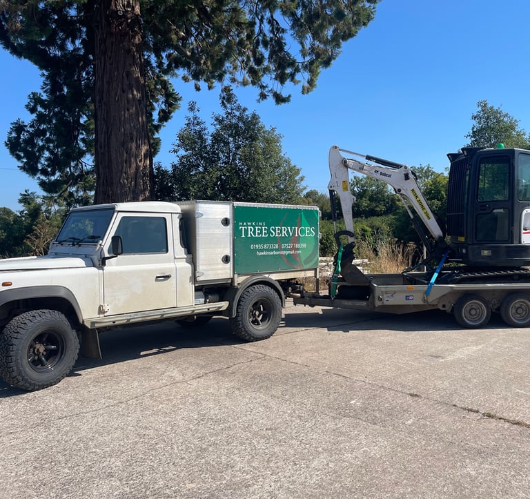hawkins tree surgeons