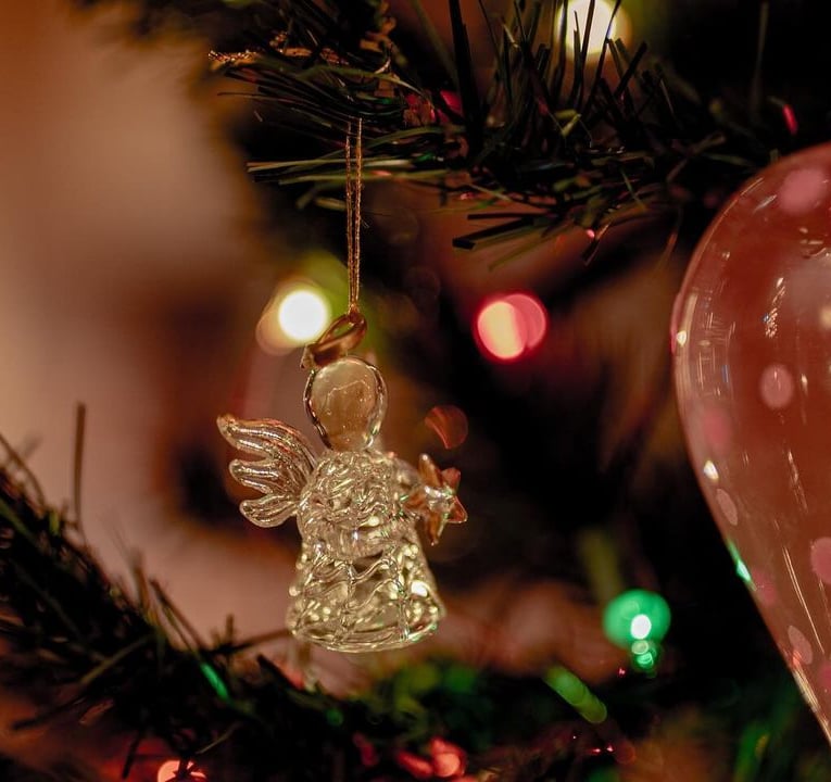 Perda gestacional e neonatal