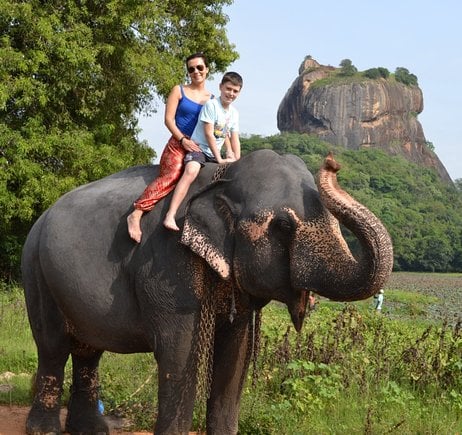 elephant riding in sri lanka