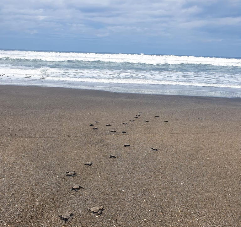 Las Penitas | Leon, Nicaragua | The Original Tours