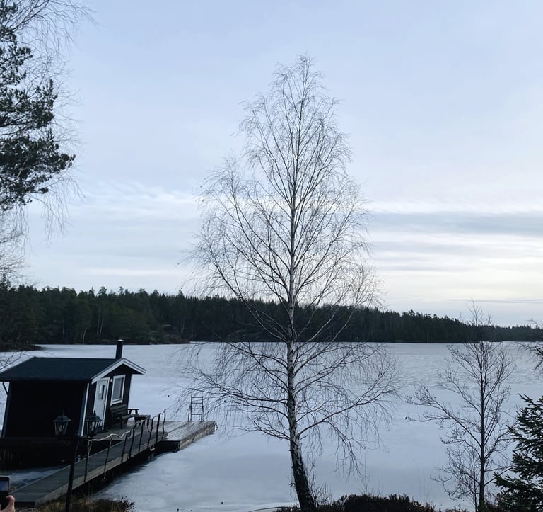 Archipelag Sztokholm zimą i sauna
