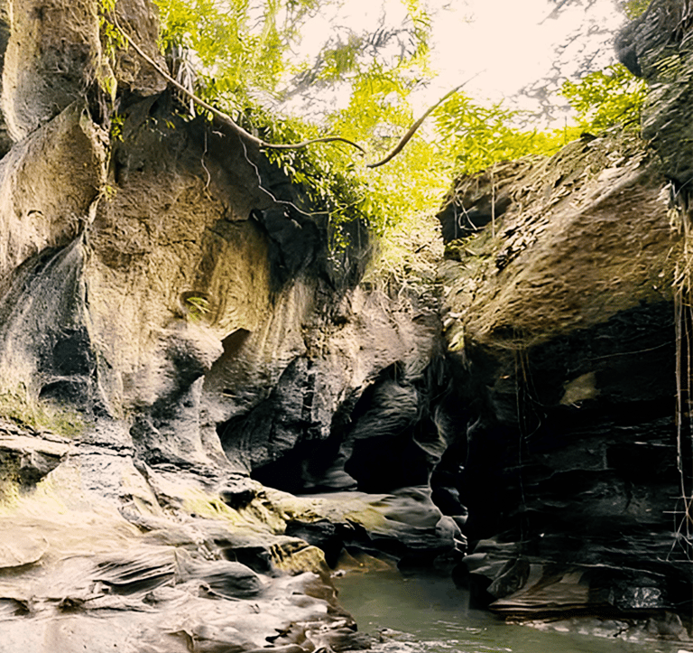 a person standing in a canyon with a dog