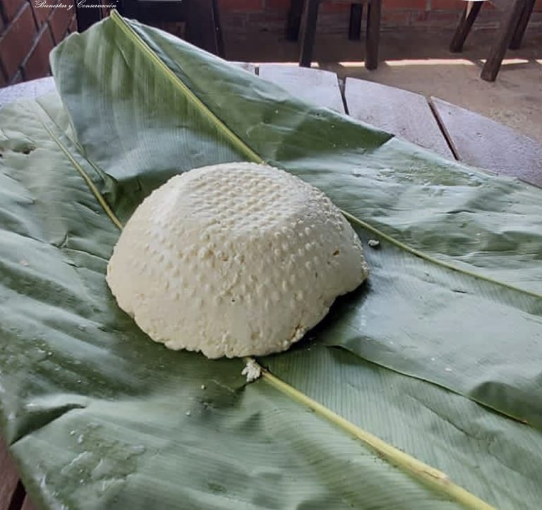 que hacer en pereira colombia