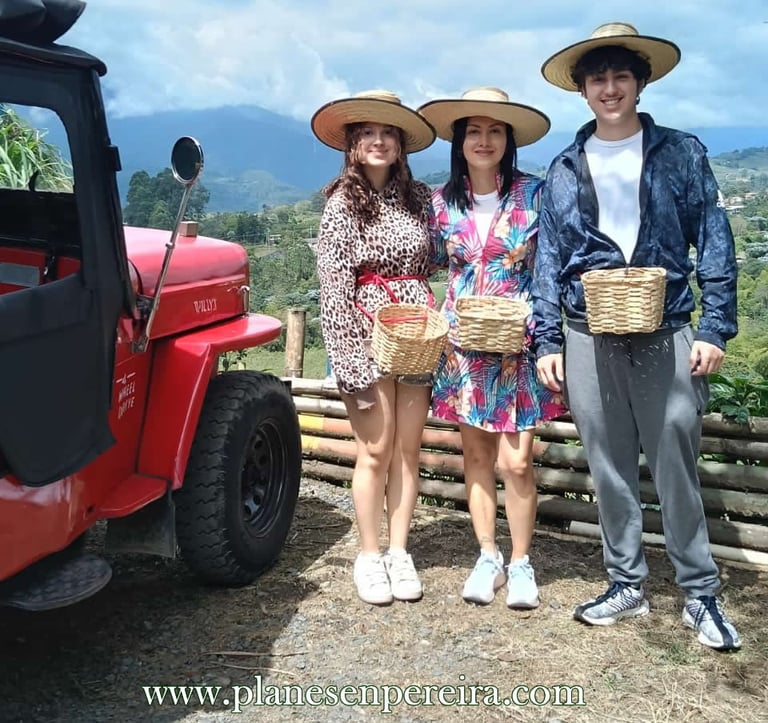 tour del café en pereira