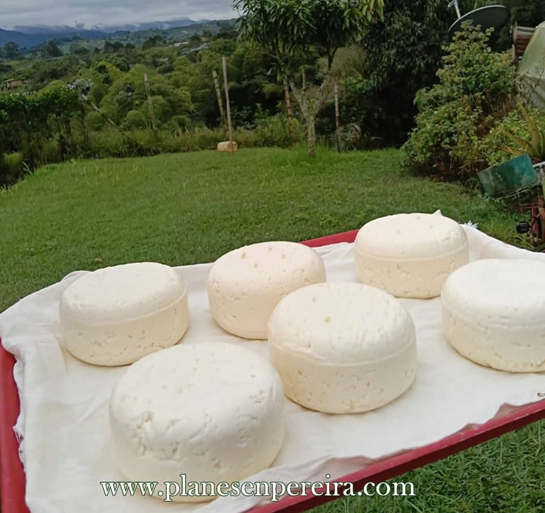 que hacer en pereira colombia