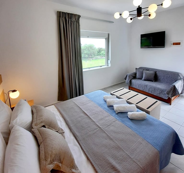 a bed room with a couch and a couch