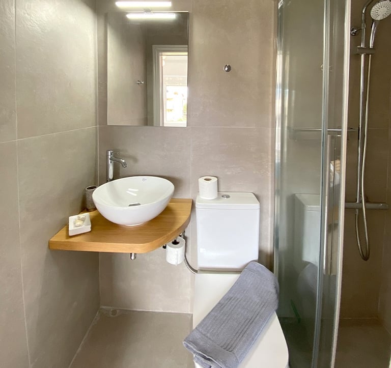 a bathroom with a sink and a toilet