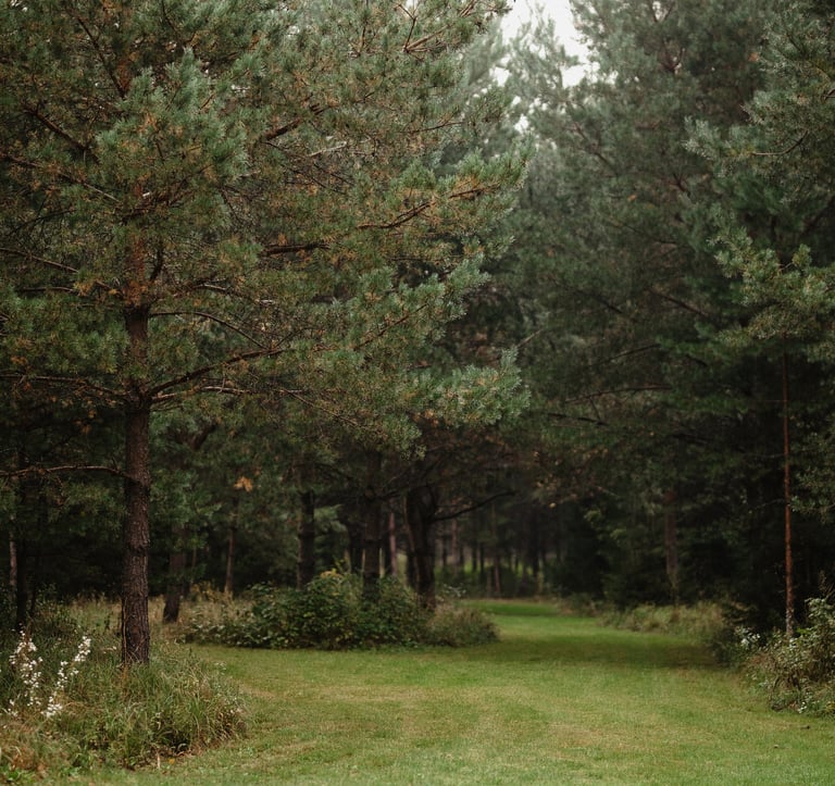 ALNUS kiemo parkas