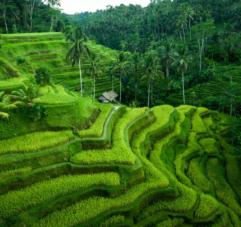 Beautiful untouched nature