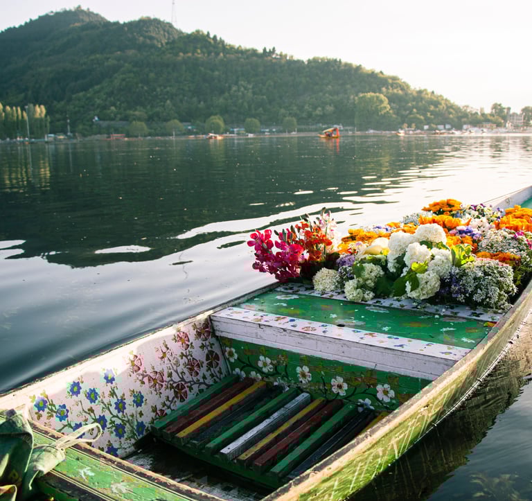 Kashmir