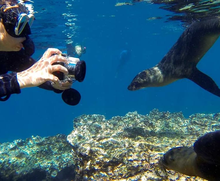 snorkeling tours galapagos islands