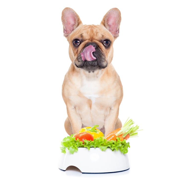 Recipe for Vegan Dog Food Bowl