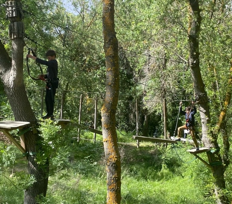 Enfants lors d'une séance d'accrobranche, une activité en plein air, à proximité du Canal du Midi