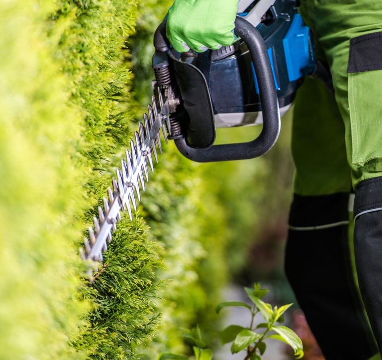 man with a hedge trimmer