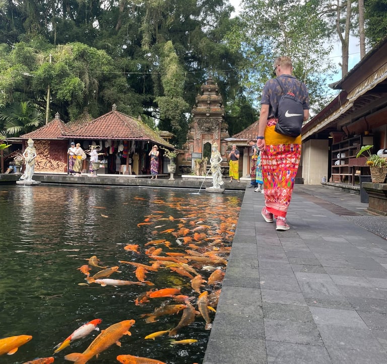 karpie koi w wodzie w świątynia na Bali