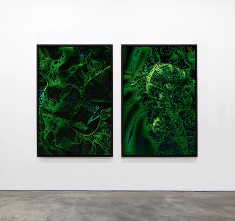 digital art, visual art, digital paintings, Joanna Wlaszyn