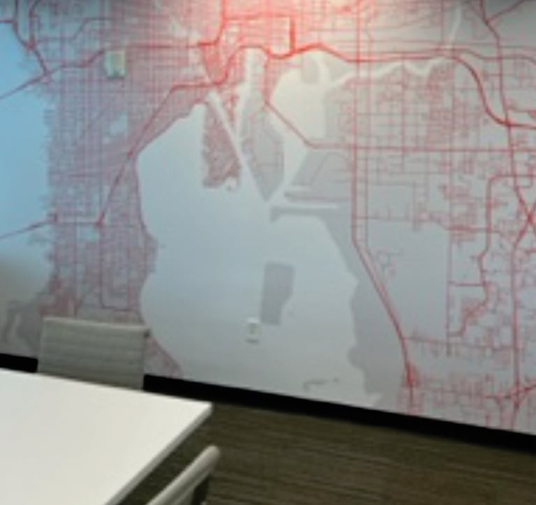 Printed wall maps