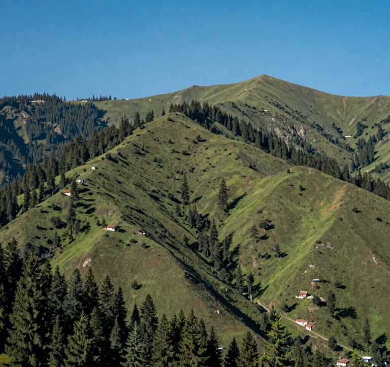 A serene South Asian mountain landscape in Uttarakhand featuring rolling green hills and pine forests under a clear blue sky, showing a prime piece of real estate land suitable for development, photography style.