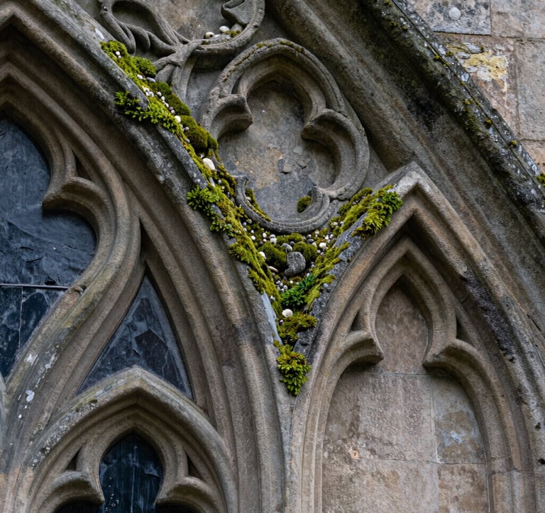 A close-up architectural shot of weathered stone carvings on a Gothic window frame in a Northern European / British / Yorkshire historic site. The lighting is soft and natural, emphasizing textures of deep slate grey and highland green moss.