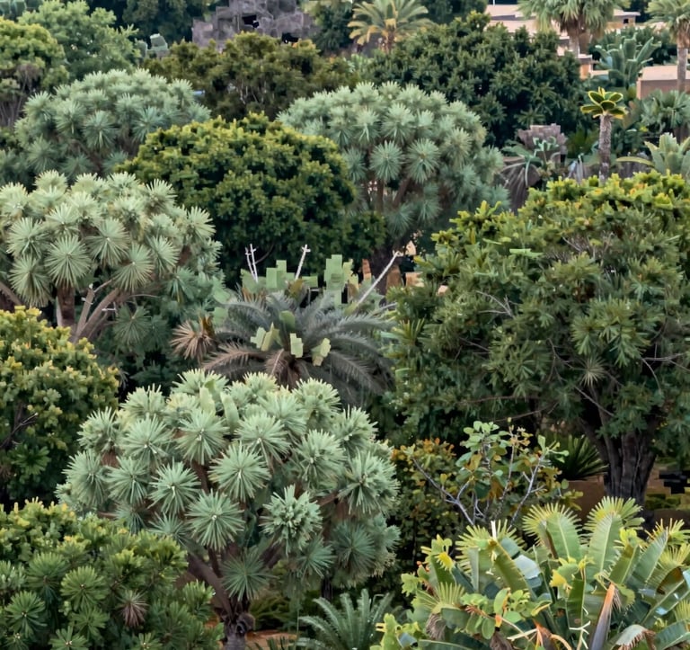 A lush, thriving desert forest with diverse vegetation, showcasing sustainable reforestation, featuring vibrant #9CB887 sage green and #1C3A2D dark green colors, professional landscape photography.