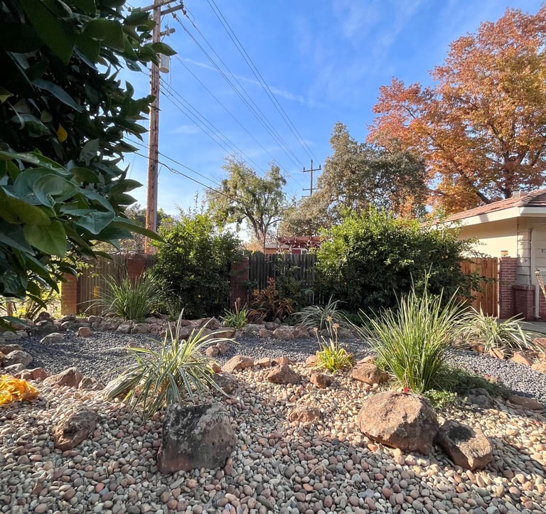 a gravelle yard with a gravel path and a gravel path