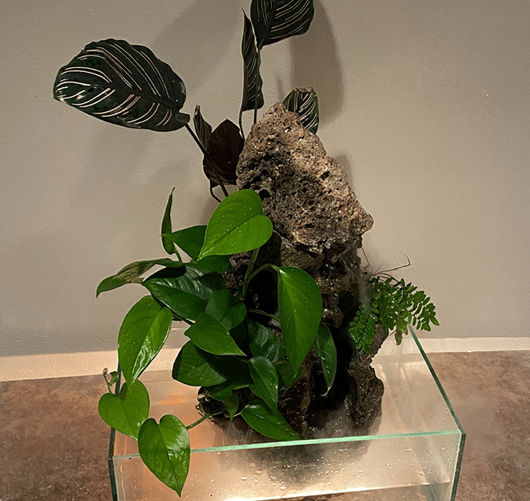 Glass-tank waterfall sculpture with live plants by Phil Mikkelson, made for a waterfall art exhibit.