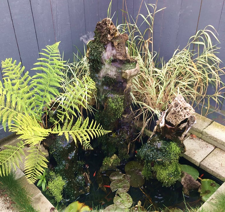 Outdoor pond installation in Tacoma by Phil Mikkelson, featuring moss-covered waterfall stones, fern