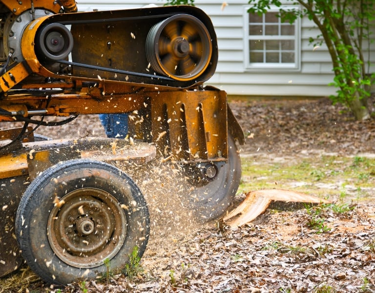 TREE-MENDOUS Tree Service