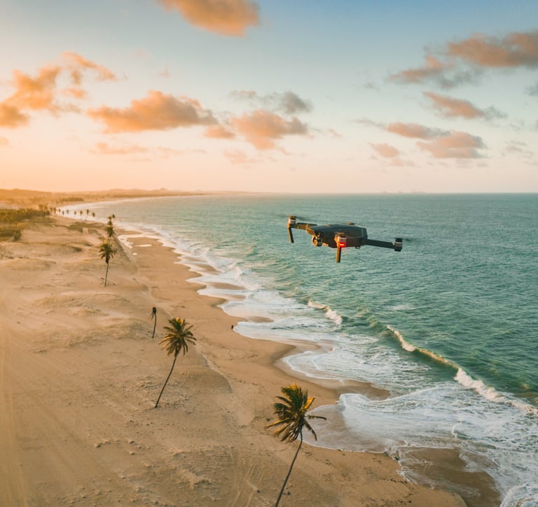 drone survolant une plage et des palmiers