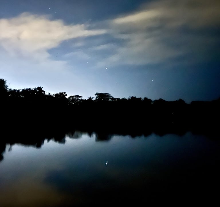 Amazonian Nightlife