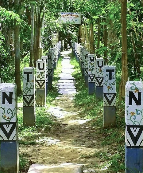 Butterfly Farm and Animal Sanctuary