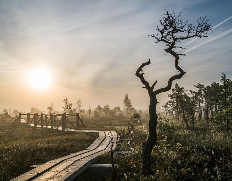 Kemeri National Park Tour from Riga