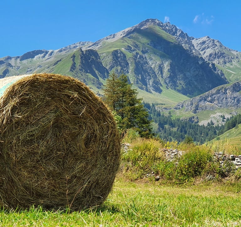 farming valle varaita