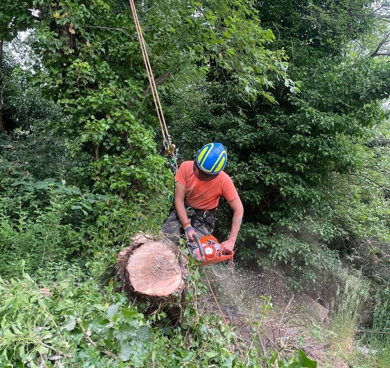 a man is cutting down a tree stump with a chainsaw