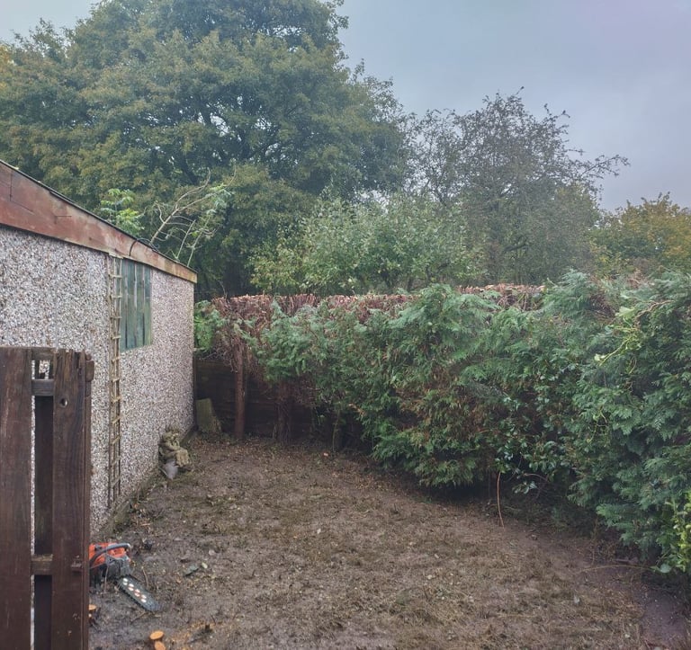a previously overgrown garden that's been cleared