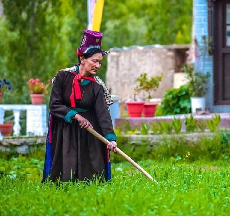 Living among Ladakhi locals, experiencing their vibrant culture and daily life