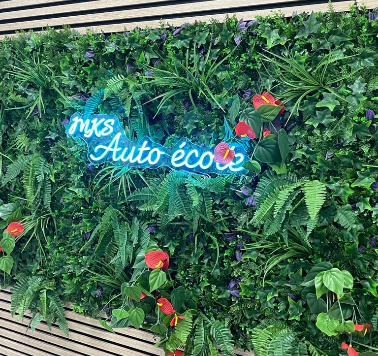 néon bleu sur fond de nature mks auto école