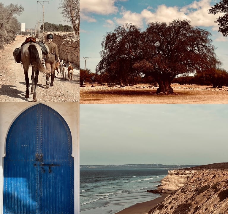a collage of photos of a man riding a horse